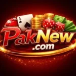 PAKNEW GAME
