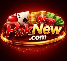 PAKNEW GAME
