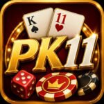 PK11 Game Download
