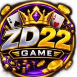 ZD22 Game Download