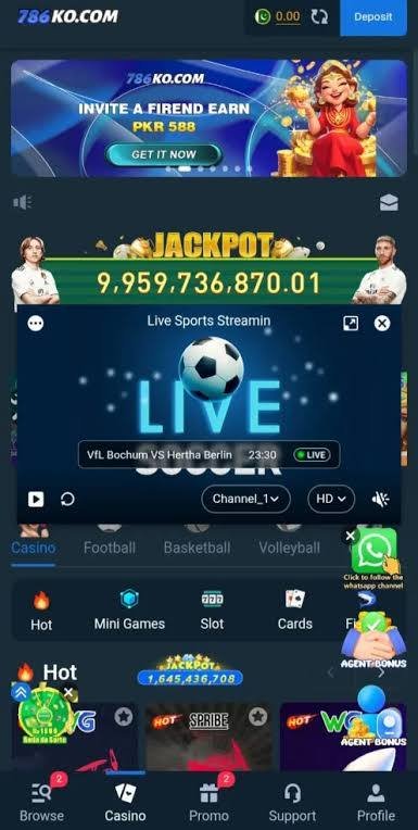  786KO Game